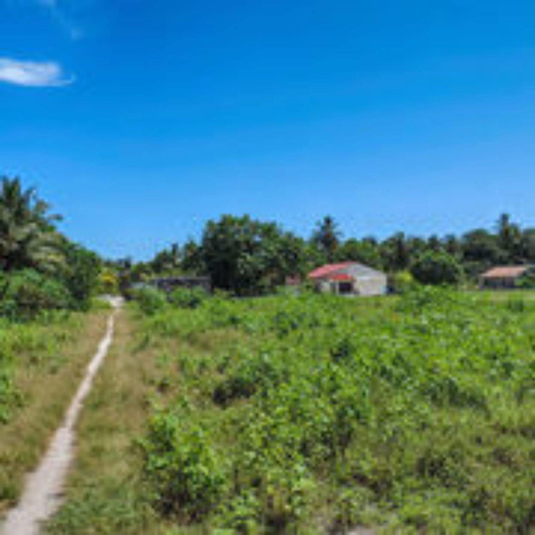 Feridhoo Inn Exterior foto